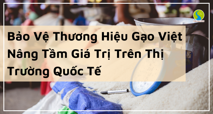 Bảo Vệ Thương Hiệu Gạo Việt - Nâng Tầm Giá Trị Trên Thị Trường Quốc Tế