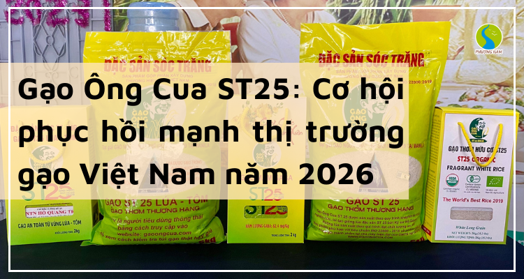 Gạo Ông Cua ST25: Cơ hội phục hồi mạnh thị trường gạo Việt Nam năm 2026