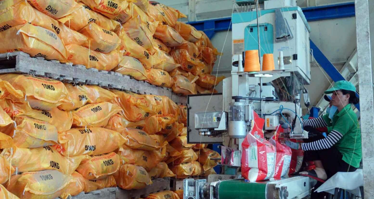 Gạo Việt Vững Vàng Giữa Sóng Gió Thị Trường Thế Giới Năm 2025