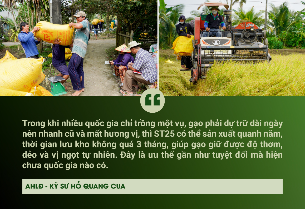 TỪ RUỘNG LÚA ĐẾN CHUỖI GIÁ TRỊ QUỐC GIA