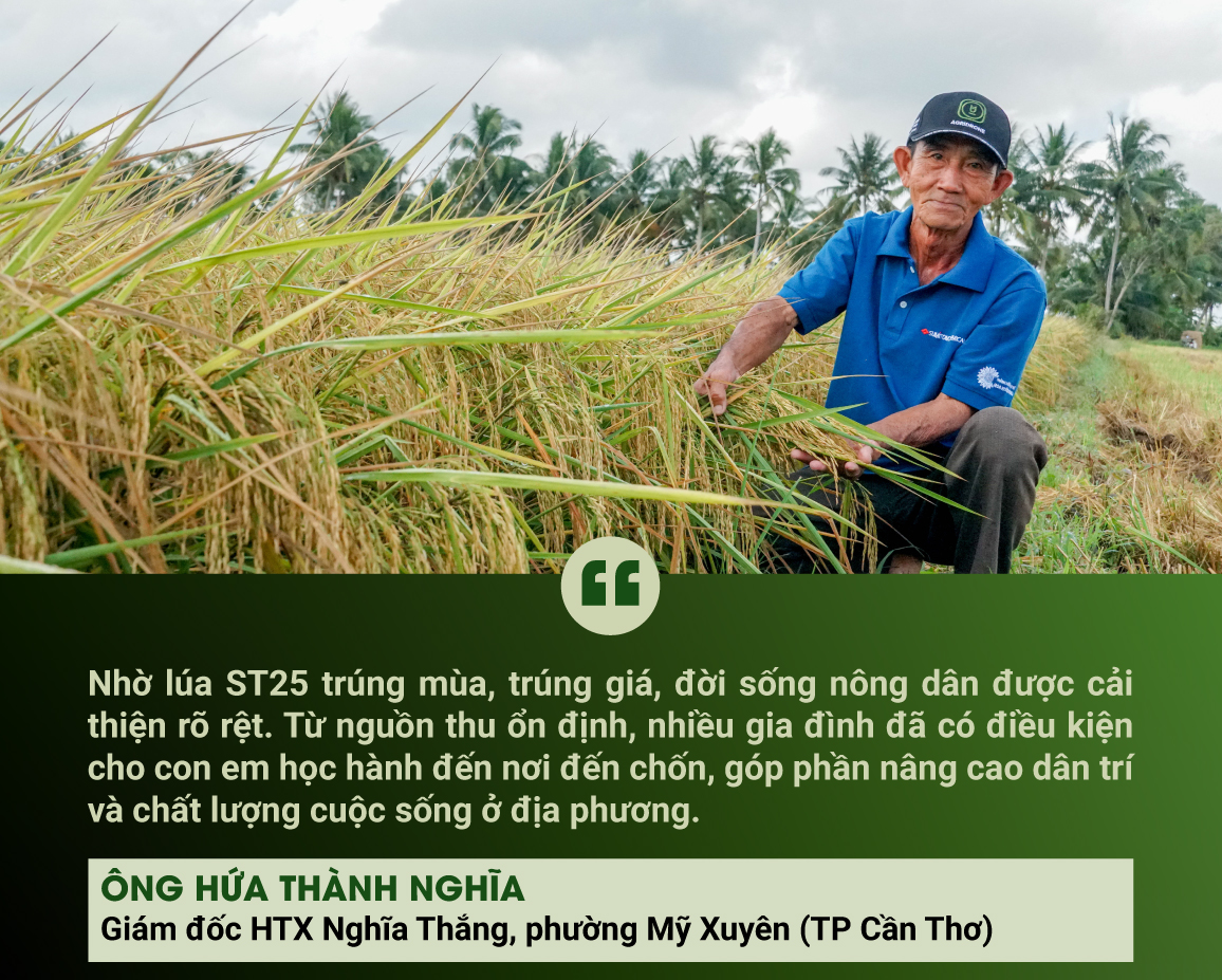 KHI GẠO NGON GIÚP NÔNG DÂN ĐỔI ĐỜI