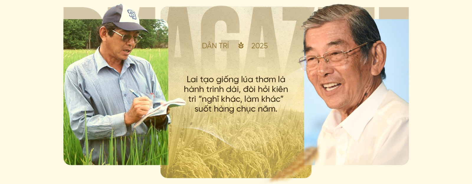 Nhìn lại, hành trình 40 năm lai tạo “hạt ngọc” của KS Cua chính là biểu tượng cho khát vọng nâng tầm gạo Việt. Từ số lượng sang chất lượng, từ “ăn no” đến “ngon nhất thế giới”.