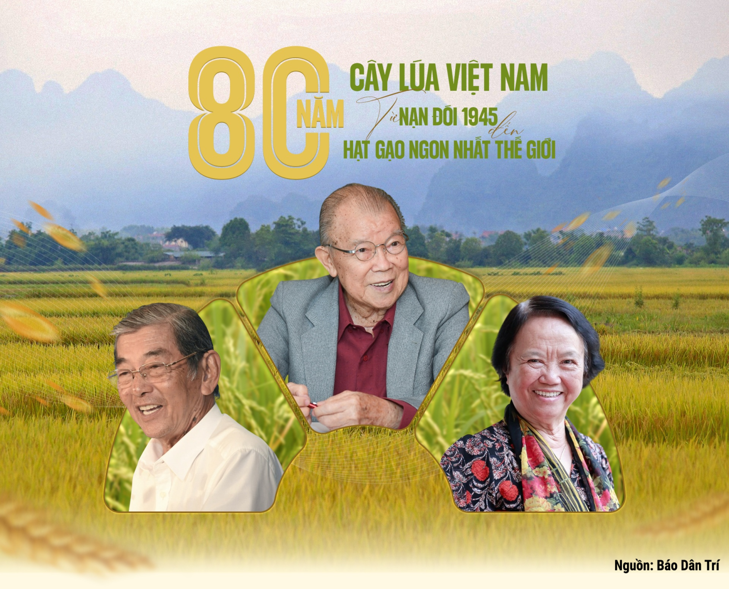 80 năm qua, ngành lúa gạo không chỉ vượt qua đói nghèo mà còn khẳng định vị thế cường quốc gạo, là minh chứng cho sự đổi mới mạnh mẽ.