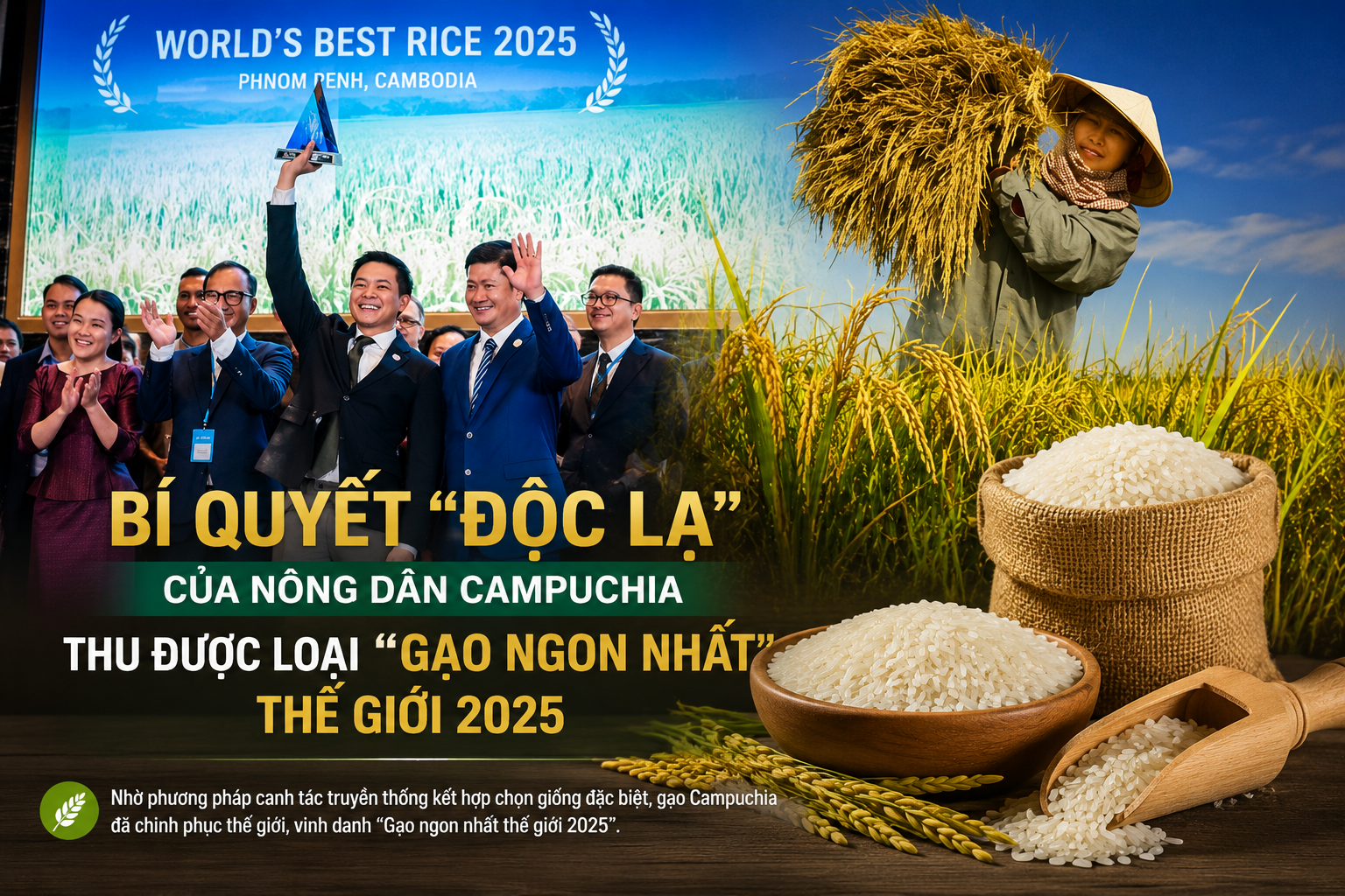 Bí quyết “độc lạ” của nông dân Campuchia, thu được loại “Gạo ngon nhất thế giới 2025”
