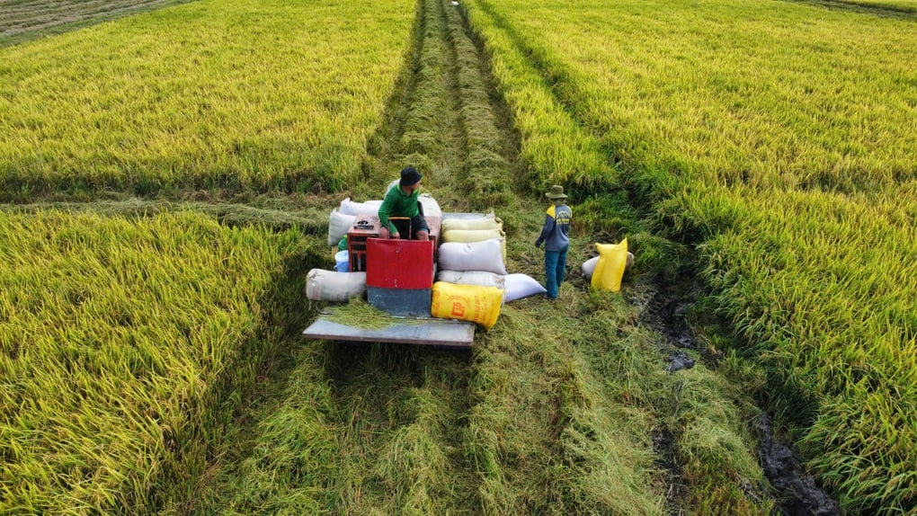 Người nông dân phải là trung tâm của cải cách