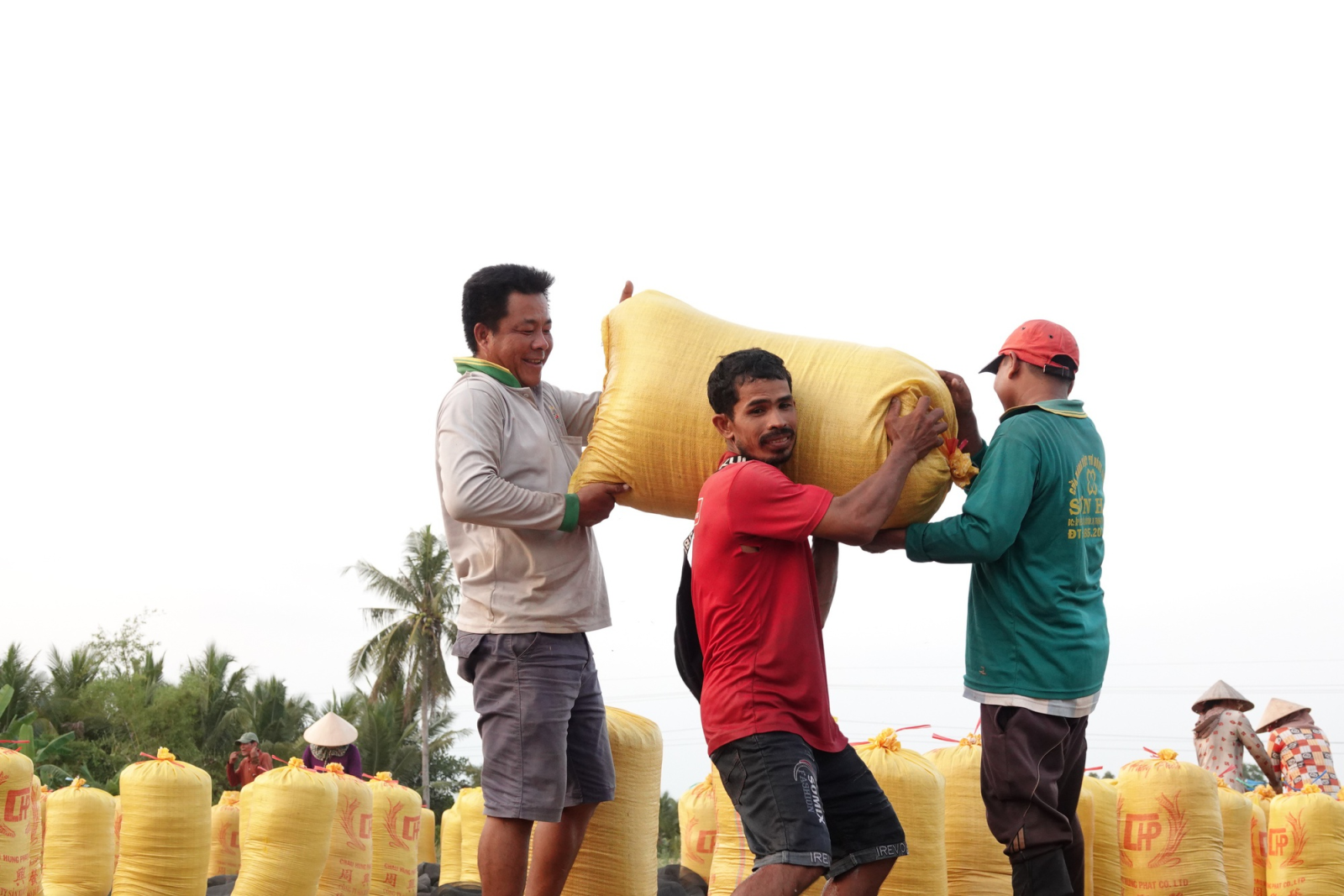 Nỗi lo cạnh tranh giá thấp và mất thương hiệu