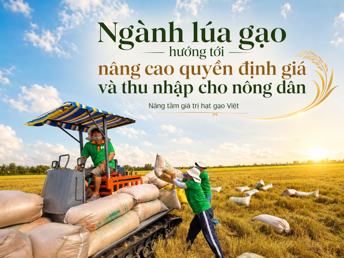 nganh-lua-gao-huong-toi-nang-cao-quyen-dinh-gia-va-thu-nhap-cho-nong-dan
