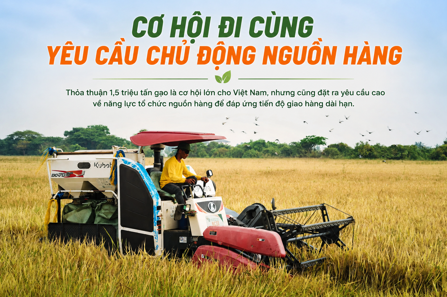 Cơ hội đi cùng yêu cầu chủ động nguồn hàng