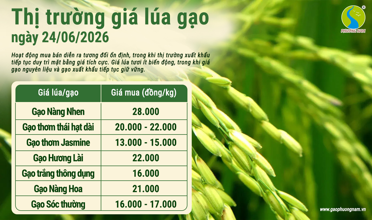 Giá lúa gạo hôm nay 23/6/2026