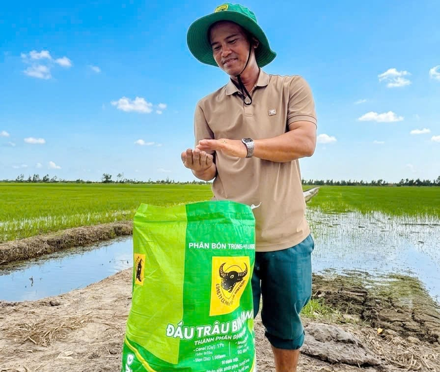 Nông dân chuẩn bị bón phân Đầu Trâu thế hệ Bio-Canxi giúp cây lúa hấp thu dinh dưỡng tối ưu. Ảnh: Ngọc Vân.
