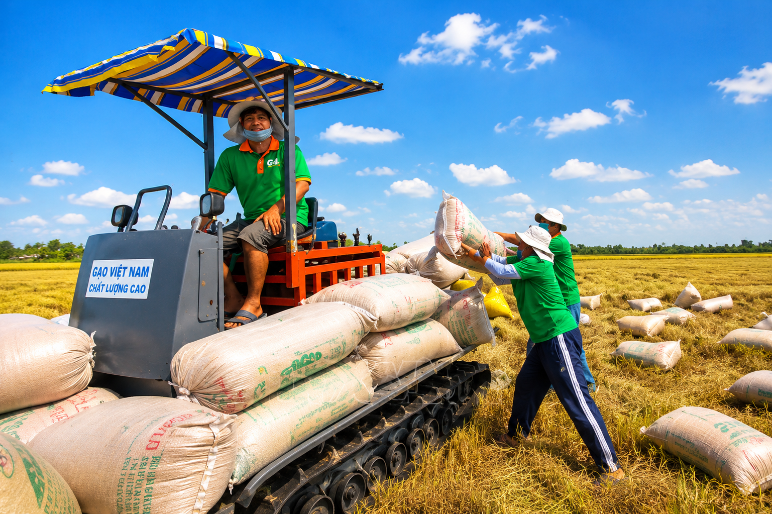 Vì sao Philippines gia tăng nhập khẩu gạo Việt Nam?