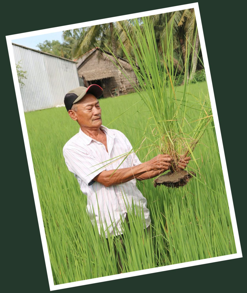 Hành trình đó vẫn được đội ngũ các nhà khoa học nông nghiệp tiếp tục đi về phía tương lai…