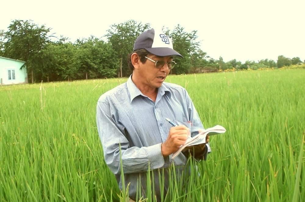 Hơn 30 Năm Kiên Trì Lai Tạo Giống Lúa Chất Lượng Cao