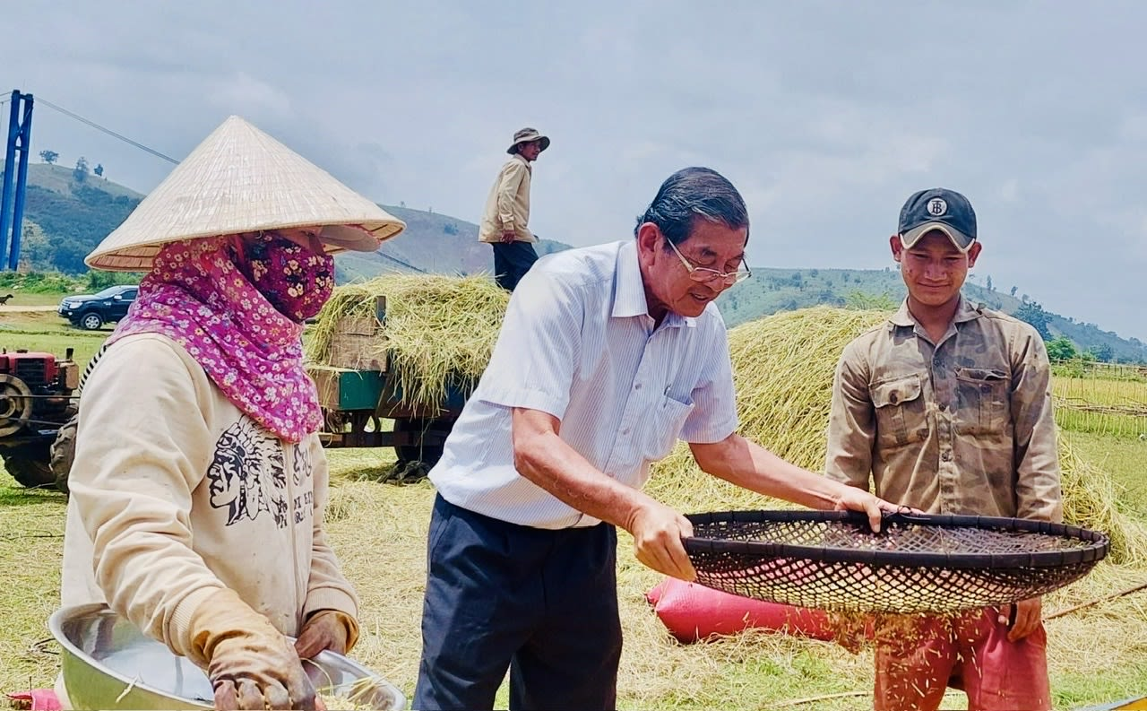 Hành Trình Từ Đồng Ruộng Đến Khát Vọng Nâng Tầm Gạo Việt