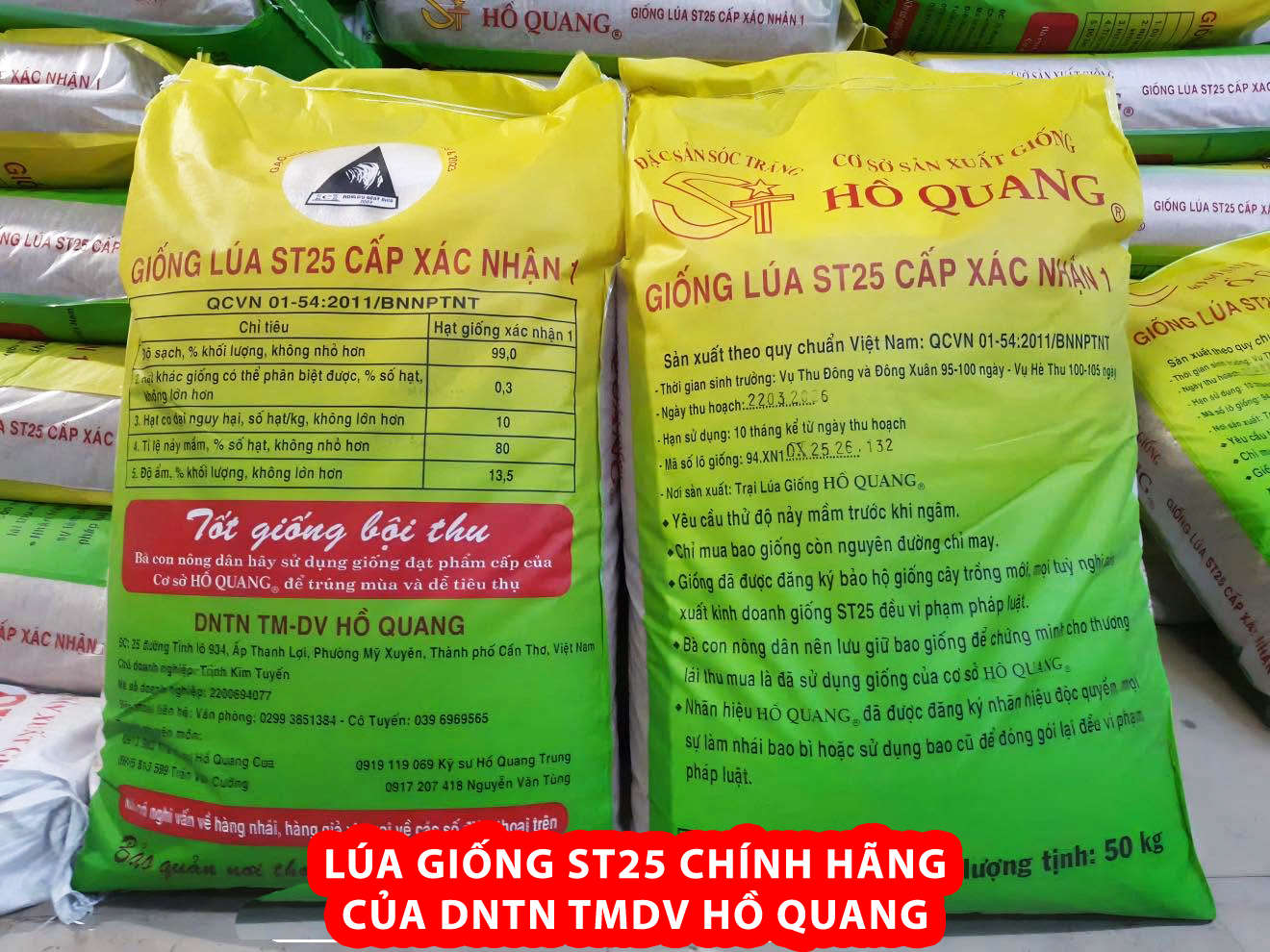 Túi lúa giống ST25 Chính Hãng Của DNTN TMDV Hồ Quang