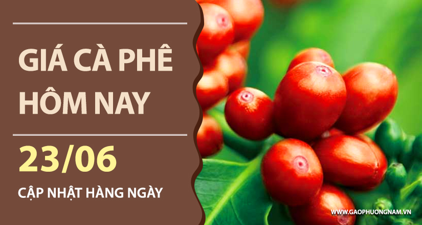 gia-ca-phe-hom-nay-ngay-23-06-2026