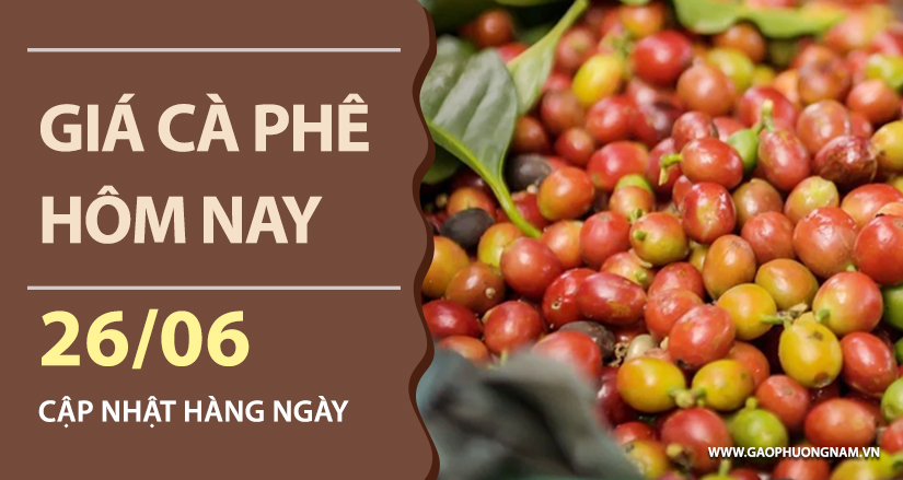 gia-ca-phe-hom-nay-ngay-26-06-2026