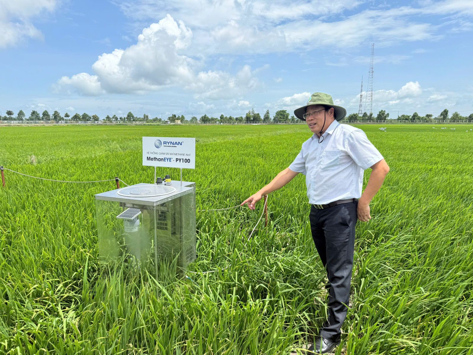 Tiến sĩ Trần Ngọc Thạch bên thửa ruộng được canh tác để phục vụ nghiên cứu suốt 50 năm… (Ảnh: Nguyễn Thanh Phong)