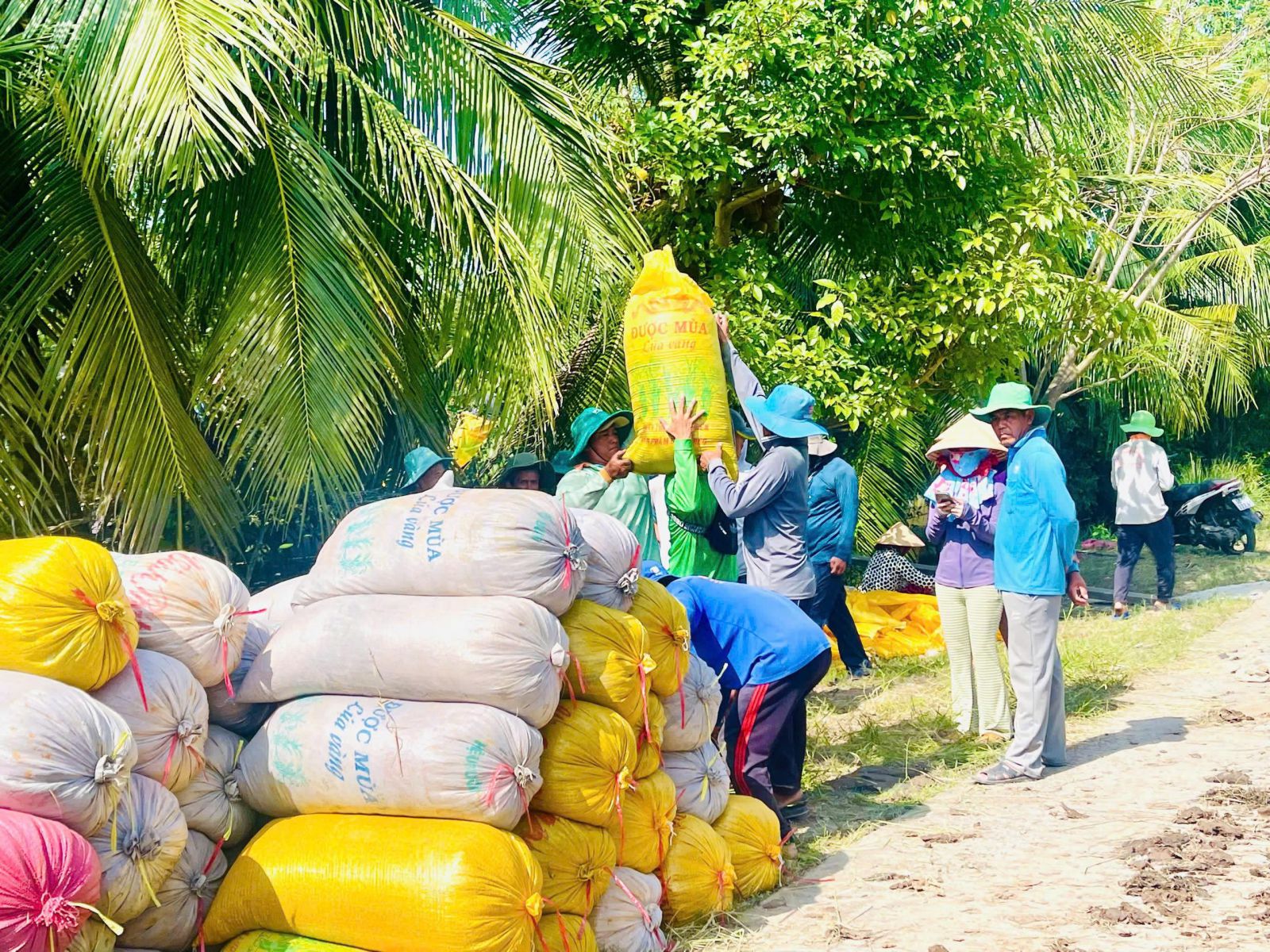 Từ ST3 Đến ST25: Hơn Hai Thập Kỷ “Mài Ngọc”