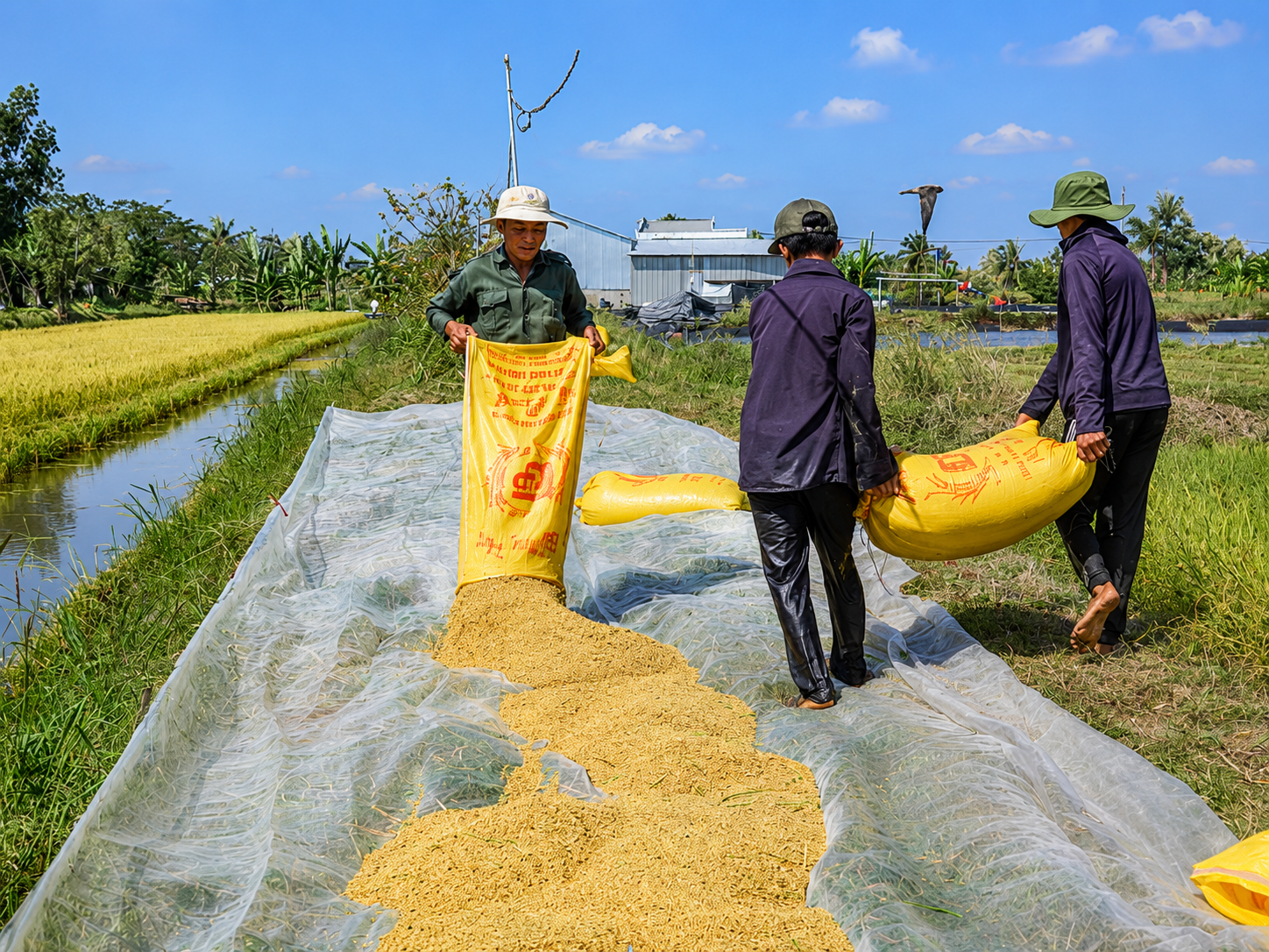 Hướng phát triển bền vững trong năm 2026