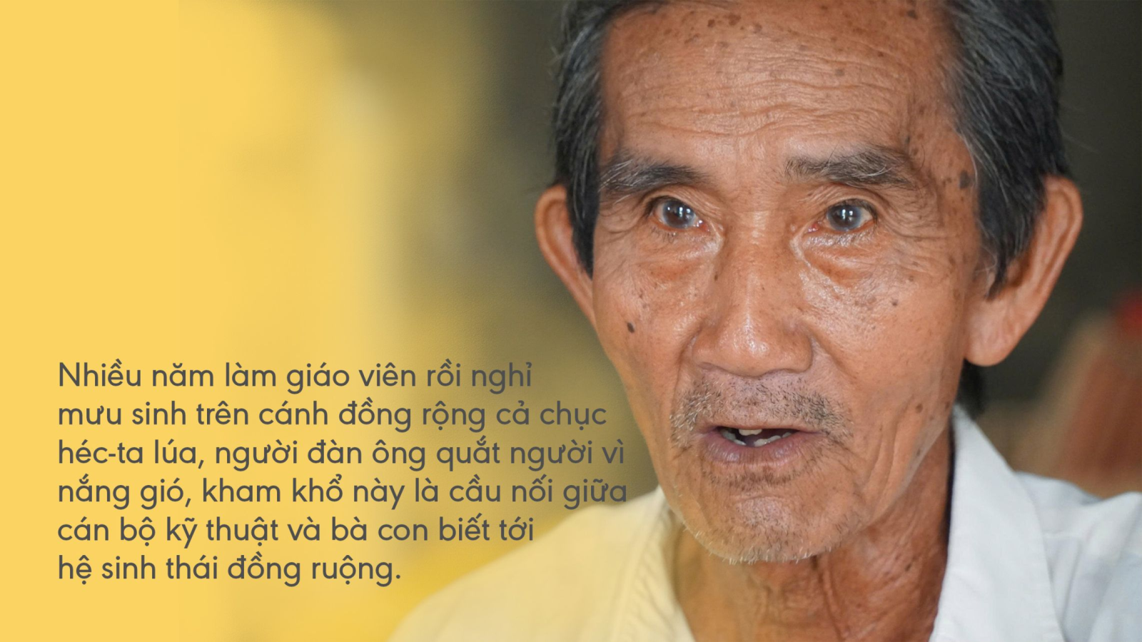 Nhiều năm làm giáo viên rồi nghỉ mưu sinh trên cánh đồng rộng cả chục héc-ta lúa, người đàn ông quắt người vì nắng gió, kham khổ này là cầu nối giữa cán bộ kỹ thuật và bà con biết tới hệ sinh thái đồng ruộng.