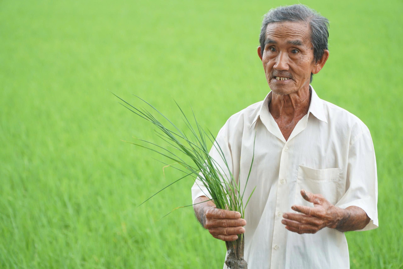 "Tôi phải lội xuống đồng, chỉ cho bà con thấy từng cái con ấu trùng chuồn chuồn chẳng hạn, nó sẽ phát triển như nào giúp làm môi trường nước, kháng lại những côn trùng có hại, để bà con không phải phun thuốc diệt nó đi", ông Nghĩa nói.