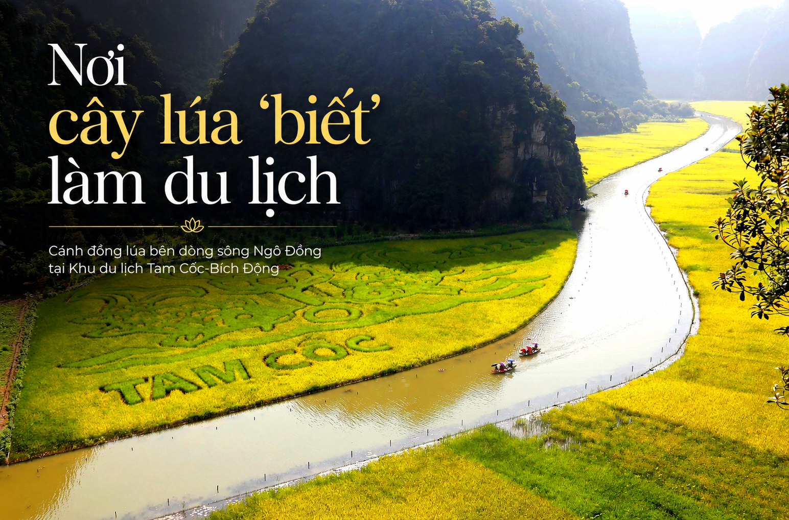 Nơi cây lúa “biết” làm du lịch