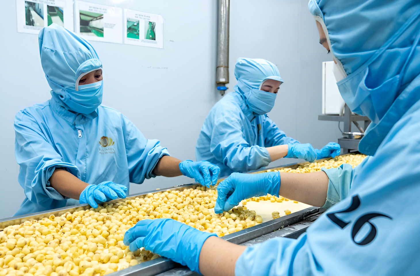 Tiềm Năng Lớn Từ Nguồn Phụ Phẩm Nông Nghiệp