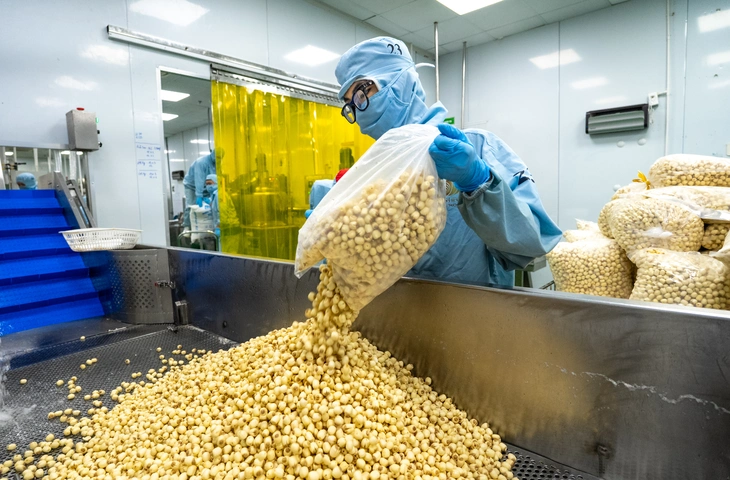 Tiềm Năng Lớn Từ Nguồn Phụ Phẩm Nông Nghiệp