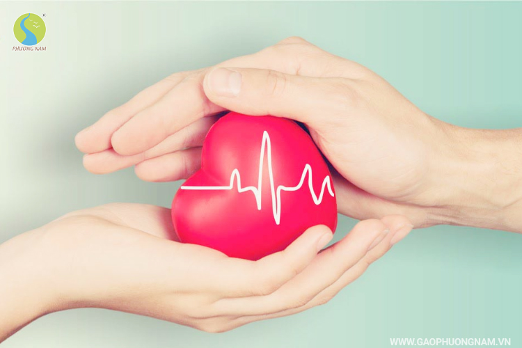 Gạo lứt có công dụng gì? Ăn nhiều có tốt không?