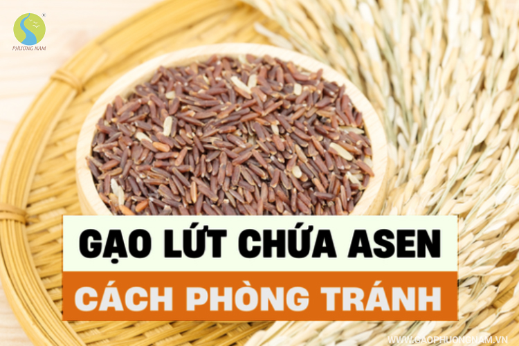 Gạo lứt có công dụng gì? Ăn nhiều có tốt không?
