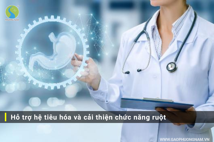 thanh-phan-dinh-duong-cua-gao-lut-co-gi-dac-biet3.jpg