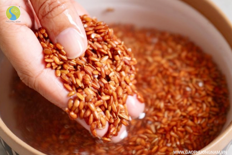 Ngâm Gạo Lứt Trước Khi Nấu