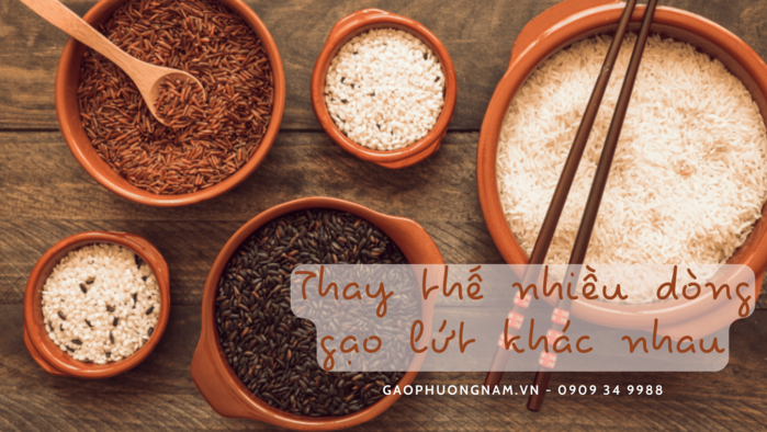 Cách duy trì động lực khi ăn gạo lứt - gaophuongnam.vn