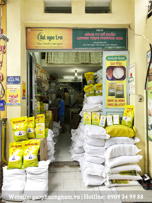 Tìm và mua gạo lứt chính hãng tại gaophuongnam.vn