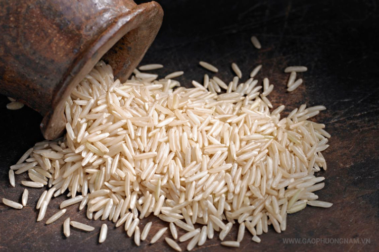 gao-danh-cho-nguoi-tieu-duong-gao-lut-co-phai-lua-chon-tot-nhat