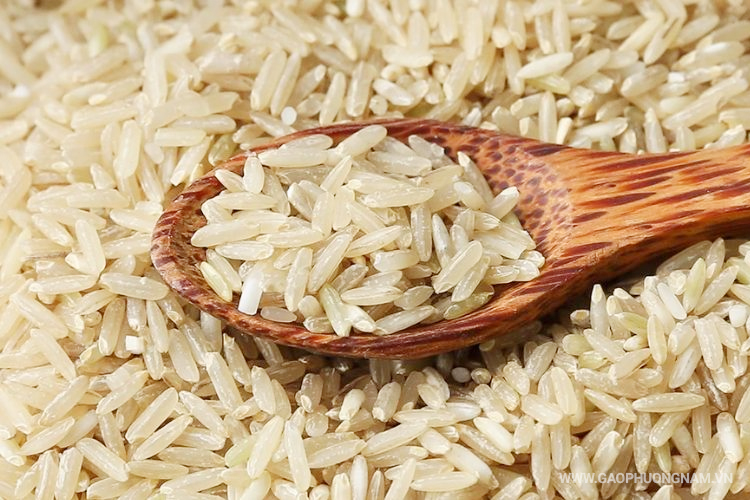 gao-lut-cho-nguoi-tieu-duong-loai-nao-tot-an-bao-nhieu-moi-ngay