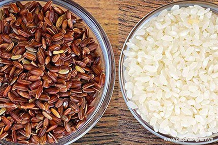 loai-gao-lut-nao-tot-cho-nguoi-tieu-duong-bi-quyet-chon-gao-giup-on-dinh-duong-huyet