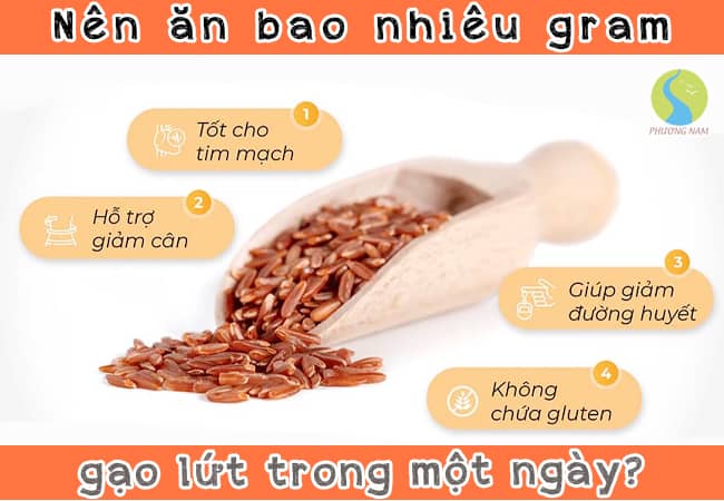 Nên ăn bao nhiêu gram gạo lứt trong một ngày?