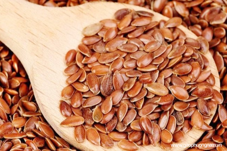 ngu-coc-cho-nguoi-tieu-duong-an-dung-de-song-khoe-moi-ngay