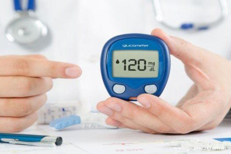 Người tiểu đường ăn gạo lứt được không? Cách dùng đúng để kiểm soát đường huyết hiệu quả