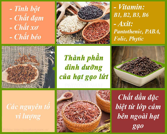 Giá trị dinh dưỡng có trong gạo lứt - gaophuongnam.vn