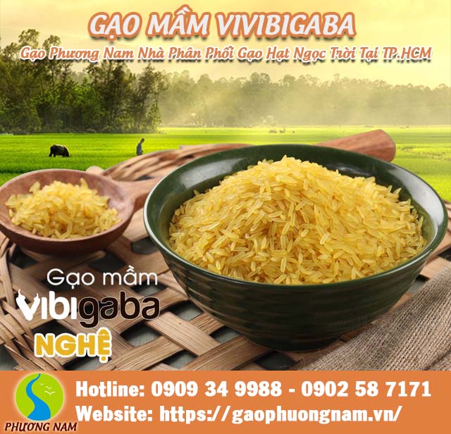 Hạt gạo mầm vibigaba