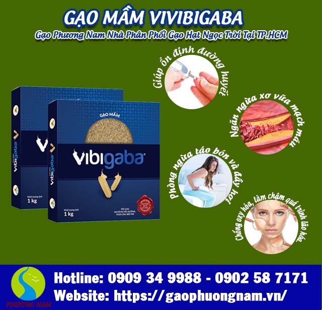 Tác dụng của gạo mầm Vibigaba
