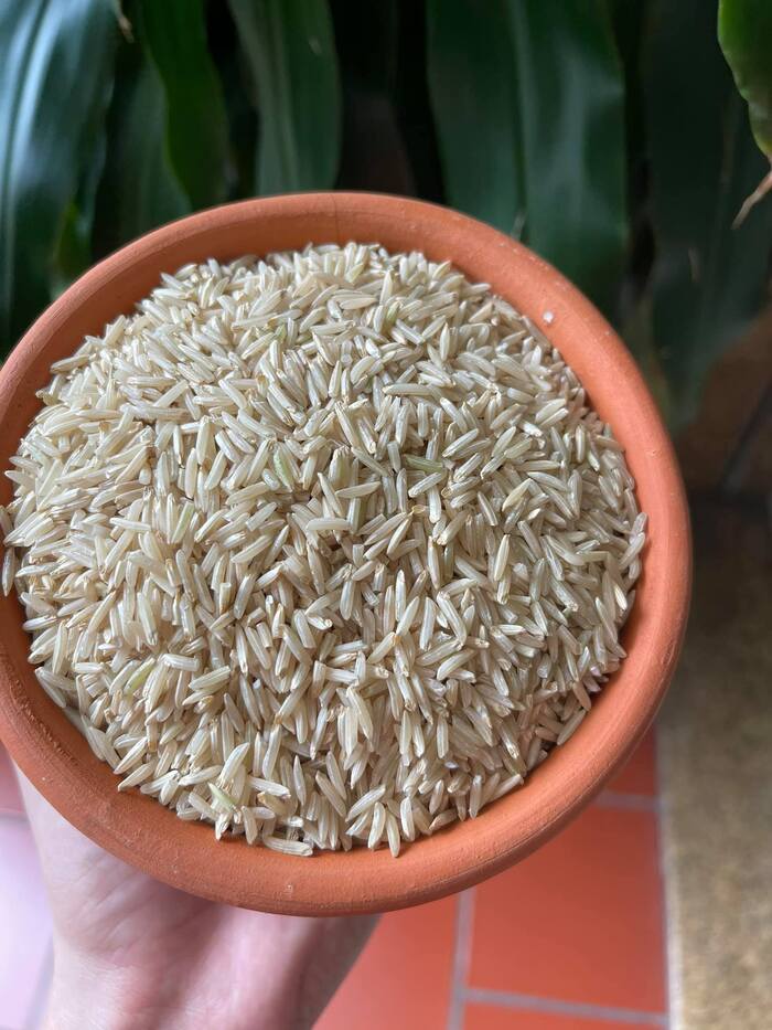 Hạt gạo mầm ST25 
