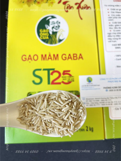 Gạo ST25 Mầm Gaba là gì?