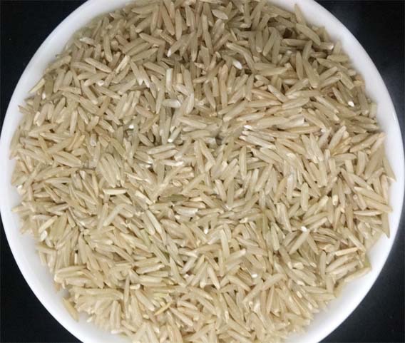 Hạt gạo mầm GABA ST24 thon dài, đầu chứa mầm gạo giàu chất GABA
