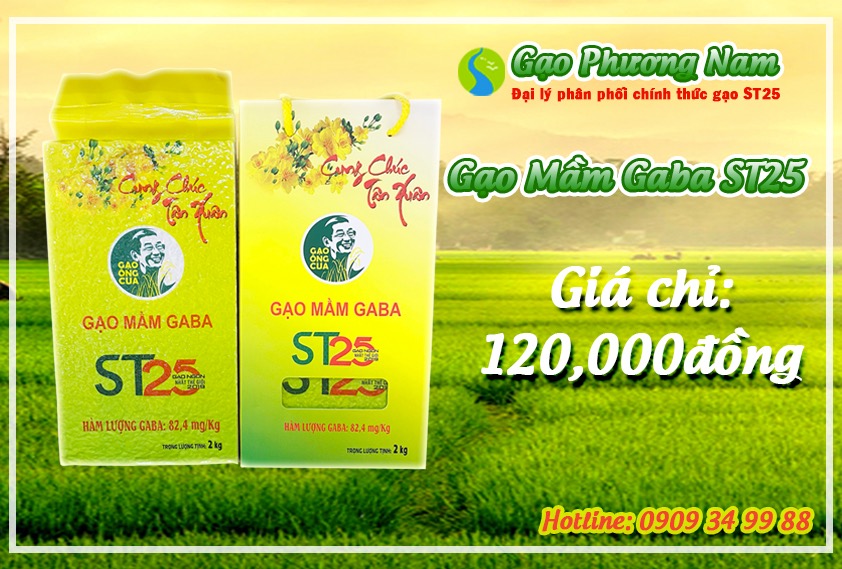 Giá Gạo mầm gaba ST25 chính hãng: 60.000đ/kg và 120.000 đồng/ túi kg