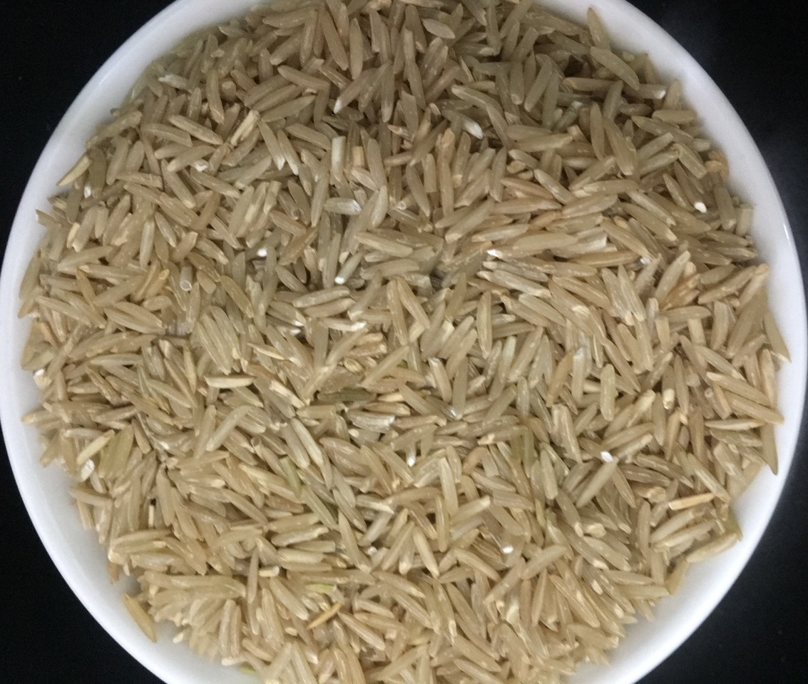 Hạt gạo mầm GABA ST24