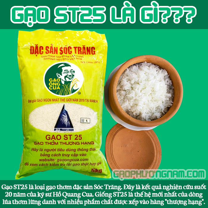 Gạo ST25 là gì? Xuất xứ từ đâu? Ai đã nghiên cứu, lai tạo ra lúa ST25?
